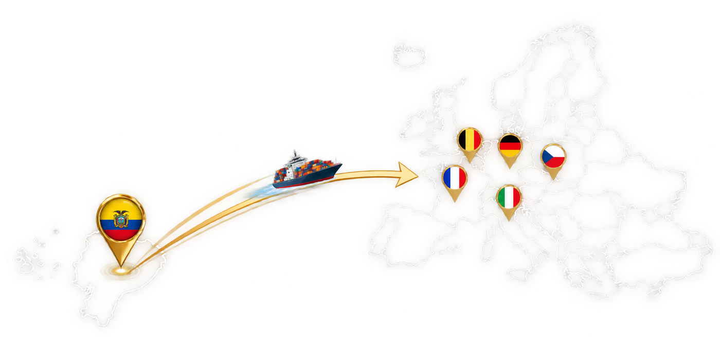 Ruta de exportación de Ecuador a Europa: Italia, Alemania, Francia, República Checa y Bélgica